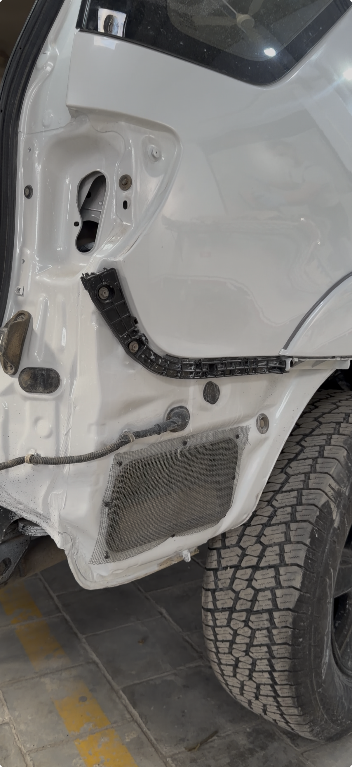 Mice protection mesh service at Auto Experts